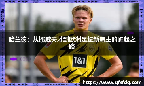bsports必一